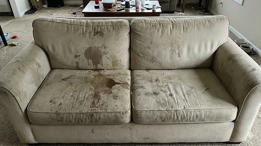 before-cleanign-sofa-part1 before-cleanign-sofa-part1