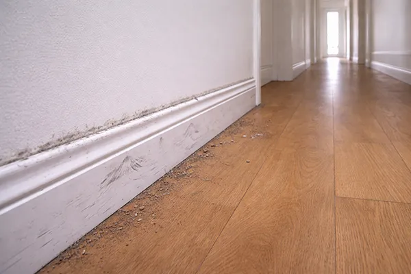 endoflease-before-after-9-6 endoflease-before-after-9-6